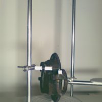 scale_T7.jpg