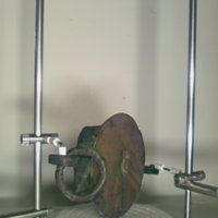 scale_T8.jpg