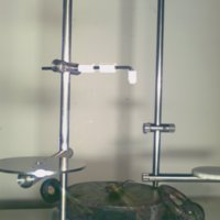 scale_T9.jpg
