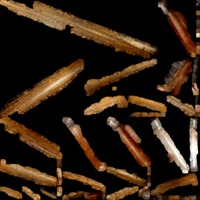 textured_material0000_map_Kd.png
