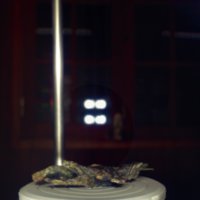 Mercury_T17.jpg