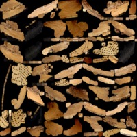 textured_material0002_map_Kd.png
