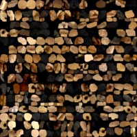 textured_material0009_map_Kd.png