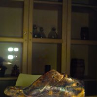 Shoe_T1.jpg