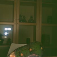 Shoe_T12.jpg