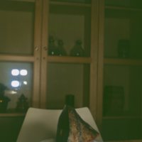 Shoe_T15.jpg
