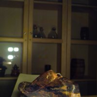 Shoe_T2.jpg