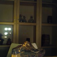 Shoe_T4.jpg
