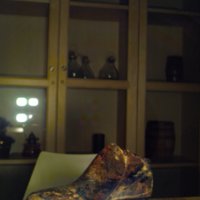 Shoe_T8.jpg