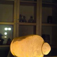 BirdFeeder_T9.jpg