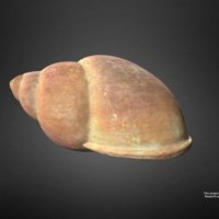 13-thumbnail.jpg