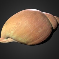 Picture.png