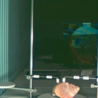 snail_shell_T1.jpg