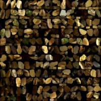 textured_material0014_map_Kd.png