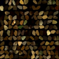 textured_material0041_map_Kd.png