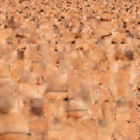 Male_Head_color.png