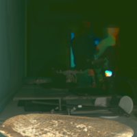 whale_vertebrae_T10.jpg