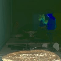 whale_vertebrae_T12.jpg