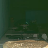 whale_vertebrae_T13.jpg