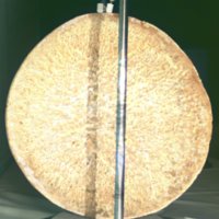whale_vertebrae_T2.jpg