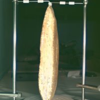 whale_vertebrae_T4.jpg