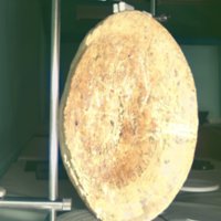 whale_vertebrae_T7.jpg