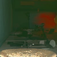 whale_vertebrae_T9.jpg