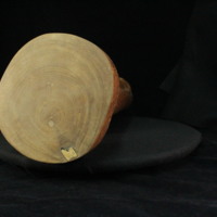 IMG_9642.JPG