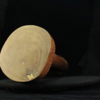 IMG_9672.JPG
