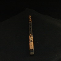 IMG_8440.JPG