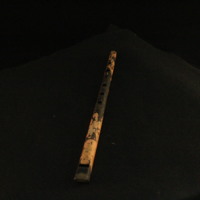 IMG_8442.JPG