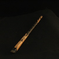 IMG_8445.JPG