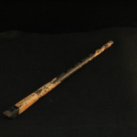 IMG_8447.JPG