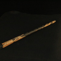 IMG_8449.JPG