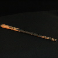 IMG_8464.JPG