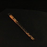 IMG_8469.JPG