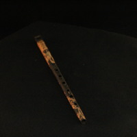 IMG_8471.JPG