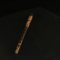 IMG_8477.JPG