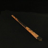 IMG_8504.JPG