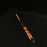 IMG_8507.JPG