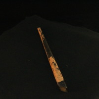 IMG_8509.JPG