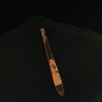 IMG_8510.JPG