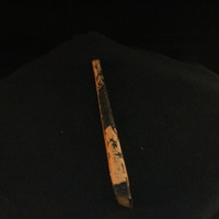 IMG_8511.JPG