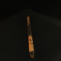 IMG_8512.JPG
