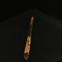 IMG_8514.JPG