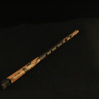 IMG_8520.JPG