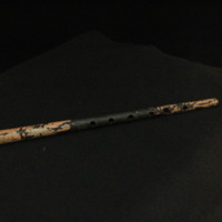 IMG_8529.JPG