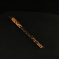 IMG_8543.JPG