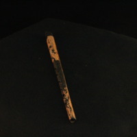 IMG_8548.JPG