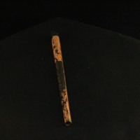 IMG_8549.JPG